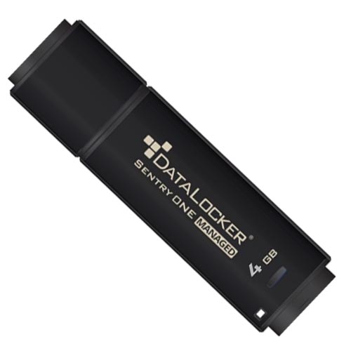 DataLocker Data Locker Sentry ONE Encrypted Flash Drive - Image 6