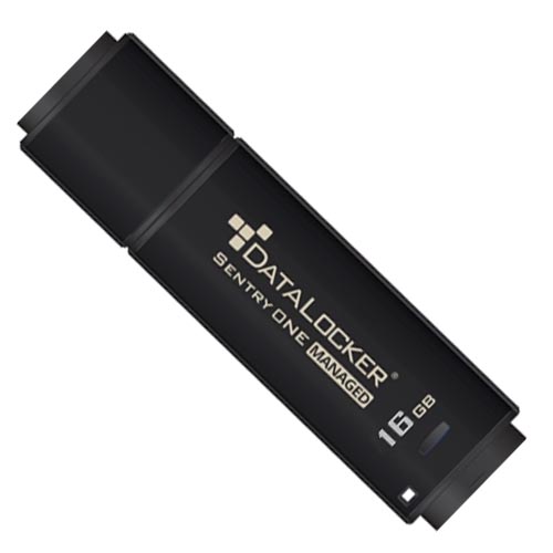 DataLocker Data Locker Sentry ONE Encrypted Flash Drive - Image 5