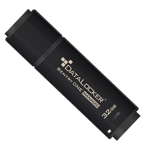 DataLocker Data Locker Sentry ONE Encrypted Flash Drive - Image 4