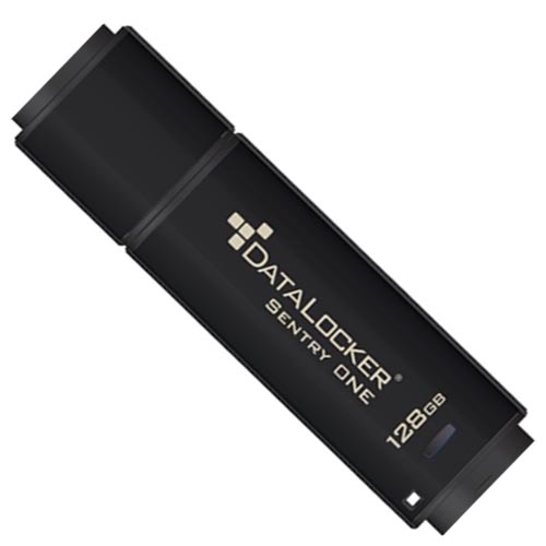 DataLocker Data Locker Sentry ONE Encrypted Flash Drive - Image 2