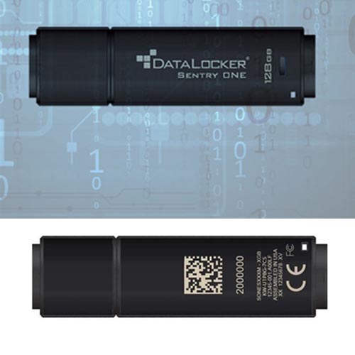 DataLocker Data Locker Sentry ONE Encrypted Flash Drive