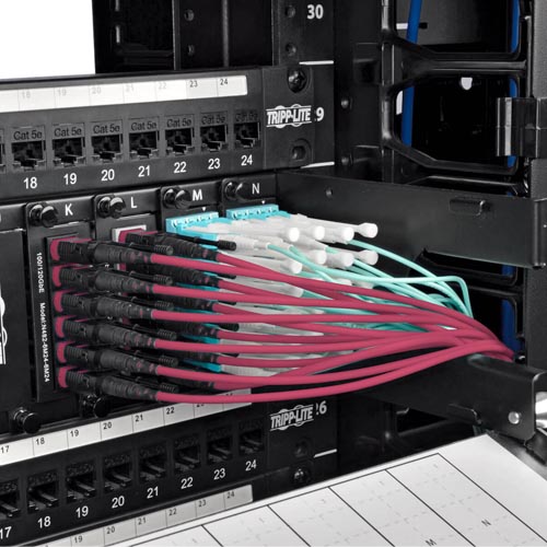 Tripp Lite 100G MTP/MPO Multimode OM4 Fiber Optic Cable (F/F) - Image 6