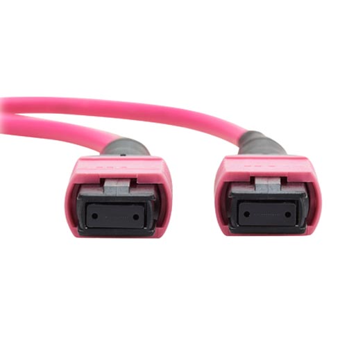 Tripp Lite Fiber MTP/MPO Fiber OM4 Multimode Patch Cable (M/M) - Image 4