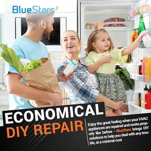 BlueStars 5-2-1 CSR-U2 Hard Start Capacitor Kit - Image 2